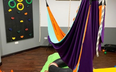 Terapia ocupacional e Integración Sensorial
